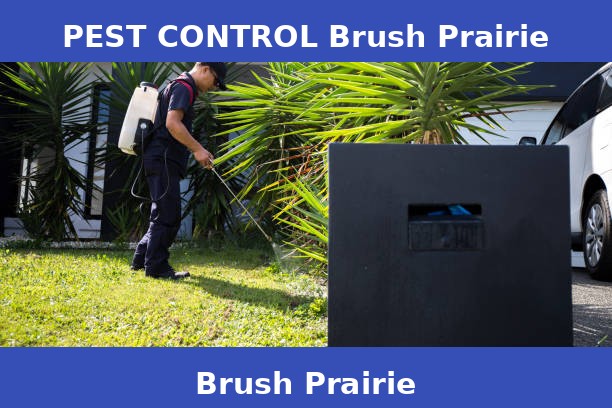 PEST CONTROL Brush Prairie